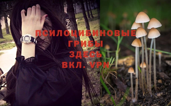ALPHA PVP Горно-Алтайск