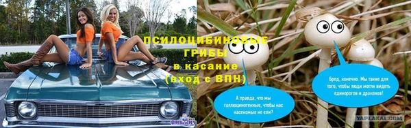 ALPHA PVP Горно-Алтайск
