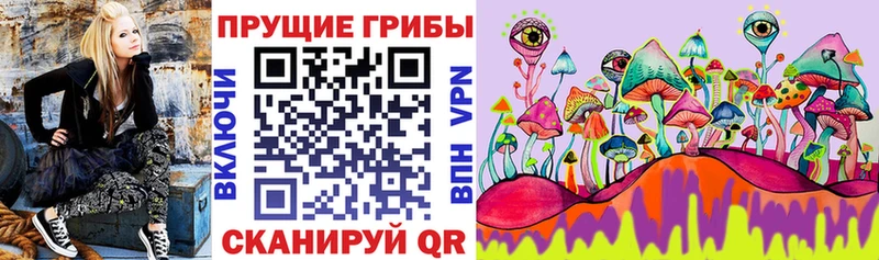 Псилоцибиновые грибы ЛСД  где продают наркотики  Тюмень 